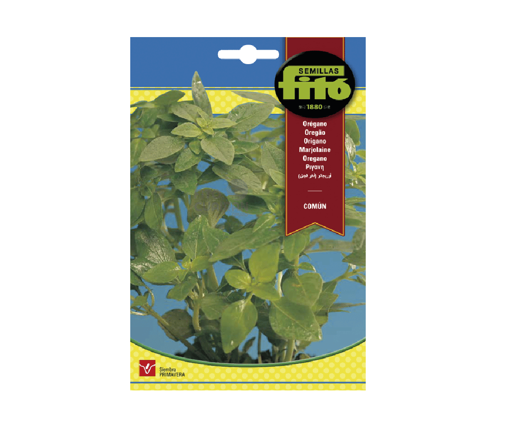 Oregano Comun x Kilo